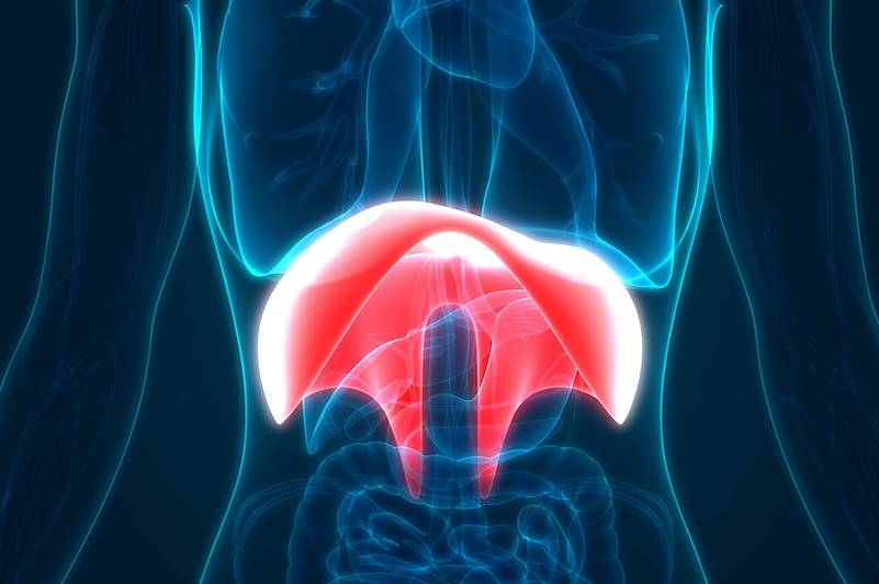 Singen ist die beste Medizin